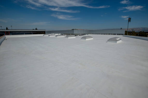 Best Asphalt Shingles Roofing  in Purdy, WA